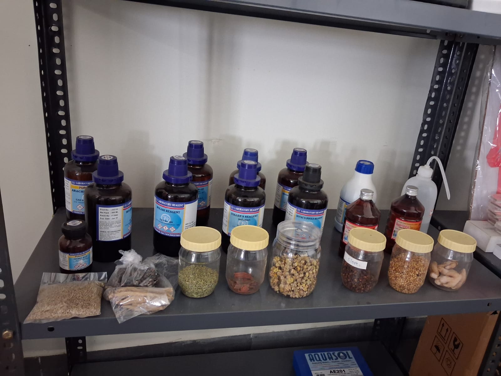 Pharmacognosy1